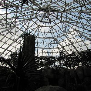 Fort Worth Zoo 2010 - Ceiling view inside World of Primates