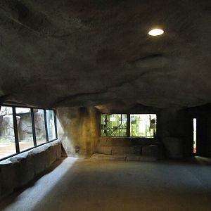 Fort Worth Zoo 2010 - General view inside World of Primates