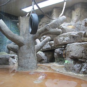 Fort Worth Zoo 2010 - Indoor exhibit in World of Primates