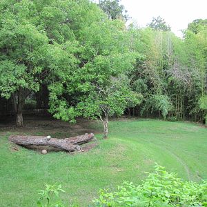 Fort Worth Zoo 2010 - Part of the Cheetah exhibit