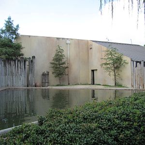 Fort Worth Zoo 2010 - Common Hippopotamus exhibit