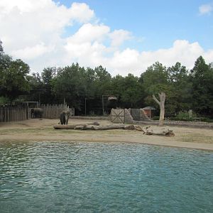 Fort Worth Zoo 2010 - Asiatic Elephant exhibit in Asian Falls