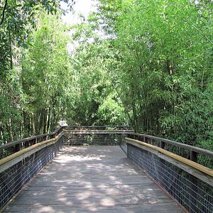 Fort Worth Zoo 2010 - Passage in Asian Falls