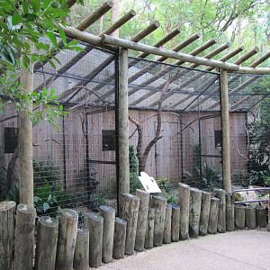 Fort Worth Zoo 2010 - Lesser Bird of Paradise aviary in Asian Falls