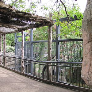 Fort Worth Zoo 2010 - Side of the Tiger exhibit in Asian Falls
