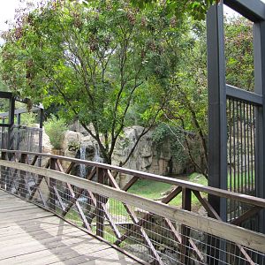 Fort Worth Zoo 2010 - Front of the Tiger exhibit in Asian Falls