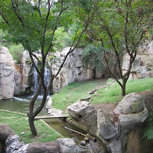 Fort Worth Zoo 2010 - Malayan Tiger exhibit in Asian Falls