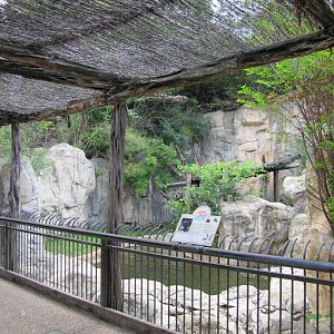 Fort Worth Zoo 2010 - Front of the Malayan Sun Bear exhibit in Asian Falls