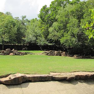 Fort Worth Zoo 2010 - Part of the Gerenuk exhibit