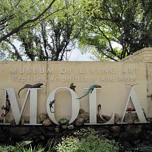 Fort Worth Zoo 2010 - Museum of Living Art sign