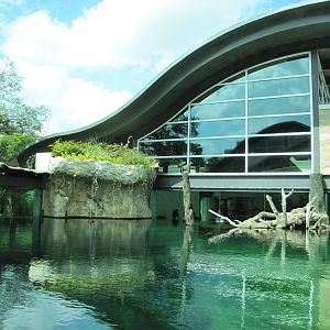 Fort Worth Zoo 2010 - Part of the Gharial exhibit at the Museum of Living A