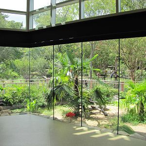 Fort Worth Zoo 2010 - General view inside the Museum of Living Art