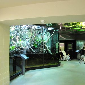 Fort Worth Zoo 2010 - General view inside the Museum of Living Art