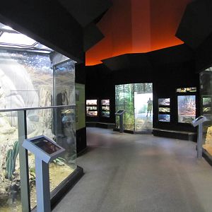 Fort Worth Zoo 2010 - General view inside the Museum of Living Art