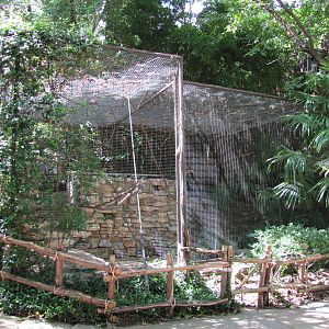 Fort Worth Zoo 2010 - Aviary for which species?