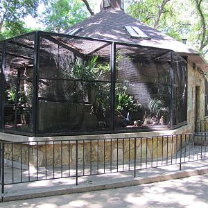 Fort Worth Zoo 2010 - Aviary for which species?