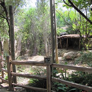 Fort Worth Zoo 2010 - Cougar exhibit in Texas Wild