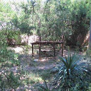 Fort Worth Zoo 2010 - Jaguar exhibit in Texas Wild
