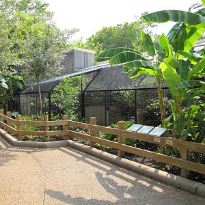 Houston Zoo 2010 - General view in the Fischer Bird Garden