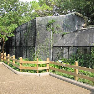 Houston Zoo 2010 - General view in the Fischer Bird Garden