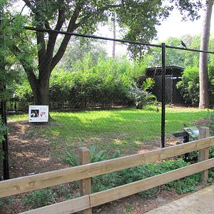 Houston Zoo 2010 - Saddle-billed Stork enclosure in the Fischer Bird Garden
