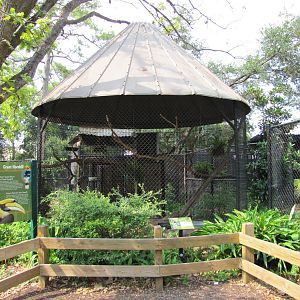 Houston Zoo 2010 - Great Hornbill aviary in the Fischer Bird Garden