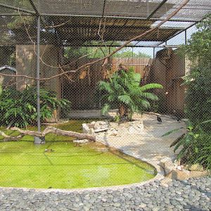 Houston Zoo 2010 - Inside aviary in the Fischer Bird Garden