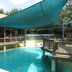 Houston Zoo 2010 - Left part of the California Sea Lion pool