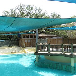 Houston Zoo 2010 - Right part of the California Sea Lion pool