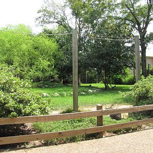 Houston Zoo 2010 - Front of the Cheetah exhibit
