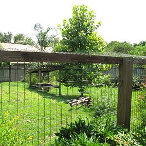 Houston Zoo 2010 - Part of the Maned Wolf exhibit
