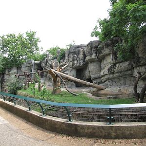Houston Zoo 2010 - End of the Spectacled Bear exhibit