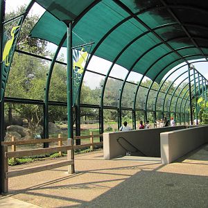 Houston Zoo 2010 - One viewing side at the African Lion exhibit