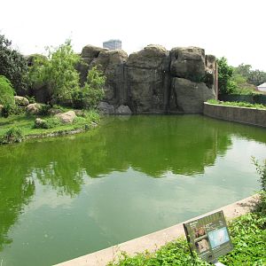 Houston Zoo 2010 - Right side of the very fine African Lion exhibit