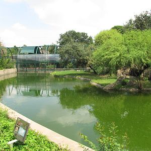 Houston Zoo 2010 - Left side of the very fine African Lion exhibit