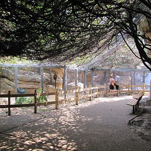 Houston Zoo 2010 - Front of the Cougar exhibit