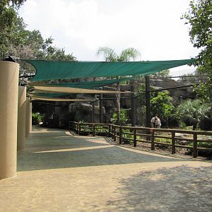 Houston Zoo 2010 - Front of the Jaguar exhibit