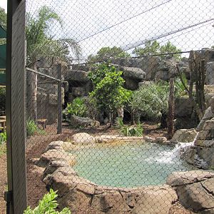 Houston Zoo 2010 - Side-view of the Jaguar exhibit