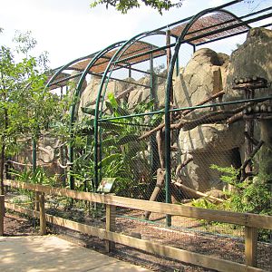Houston Zoo 2010 - Carnivore enclosures
