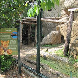 Houston Zoo 2010 - Jaguar in a Leopard exhibit