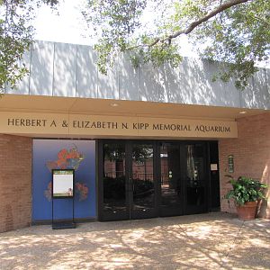 Houston Zoo 2010 - Kipp Memorial Aquarium entrance