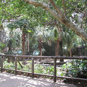 Houston Zoo 2010 - Front of DeBrazza and Mandrill exhibits in Wortham World