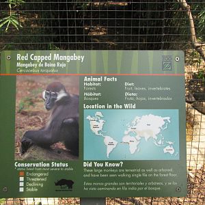 Houston Zoo 2010 - Wortham World of Primates signage example