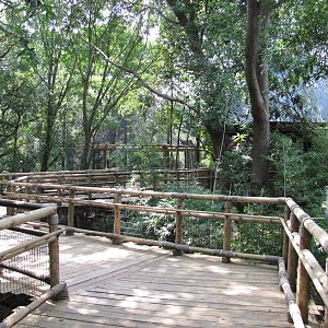 Houston Zoo 2010 - General view in Wortham World of Primates