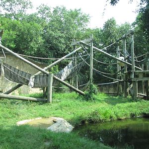 Houston Zoo 2010 - Orangutan exhibit