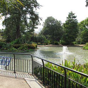 Houston Zoo 2010 - General view of a pond