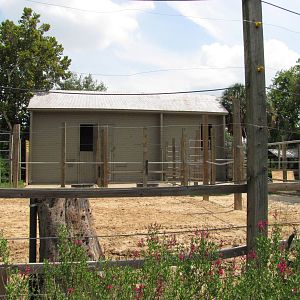 Houston Zoo 2010 - Former Giraffe exhibit