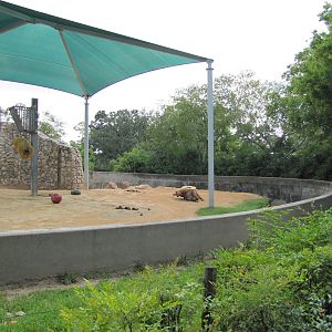 Houston Zoo 2010 - Part of the Asiatic elephant complex