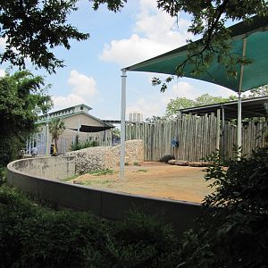 Houston Zoo 2010 - Part of the Asiatic Elephant complex