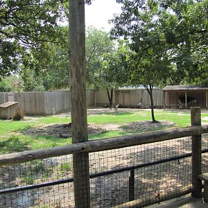 Houston Zoo 2010 - Right part of Okapi and Yellow-backed Duiker exhibit